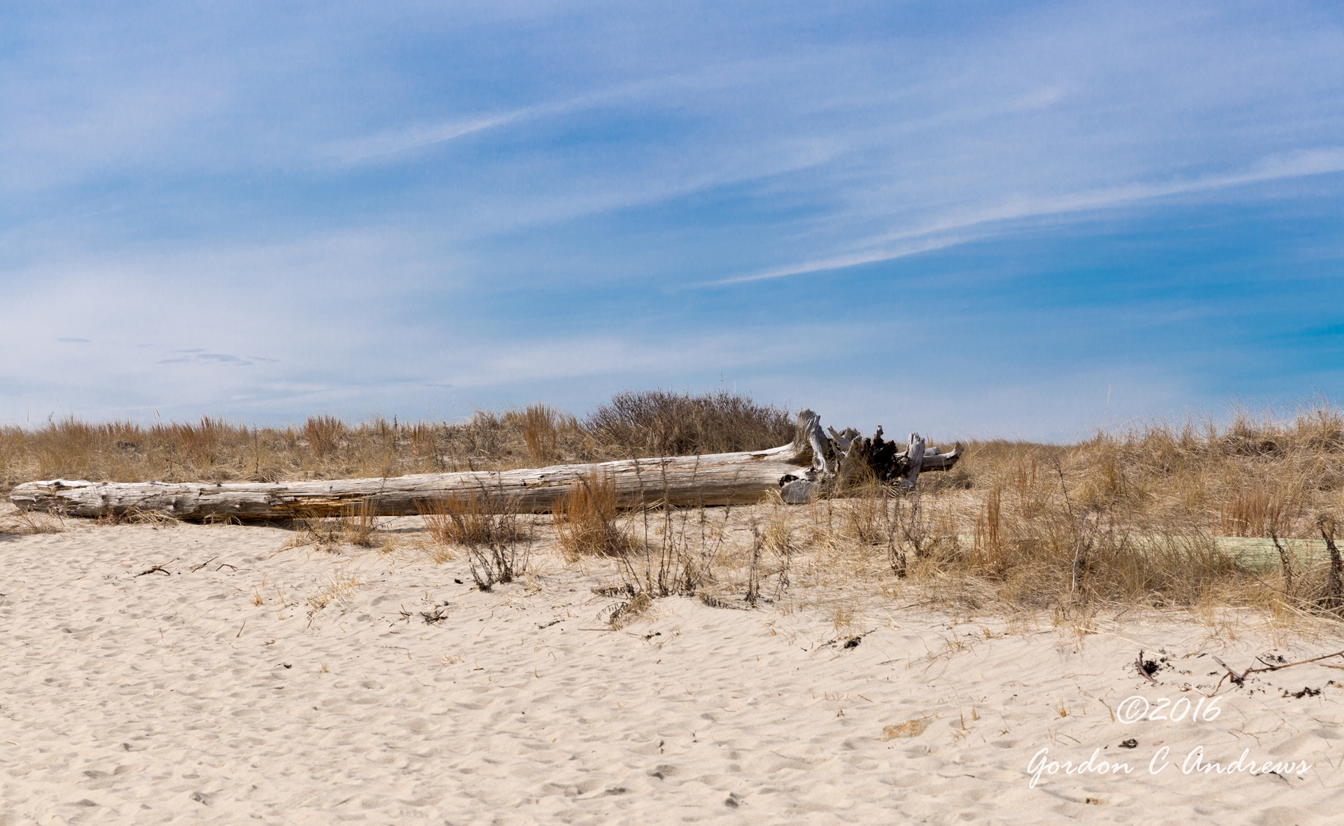Scusset Beach State Reservation 